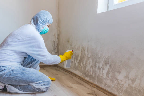 Licensed Bathroom Mold Removal service in Clinton, NC - WQB Mold Removal