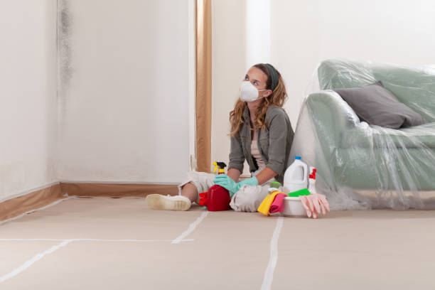 Reliable Bathroom Mold Removal contractor in Clinton, NC by WQB Mold Removal